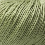 Bellissimo ORCHARD 8 ply - 67-Sage